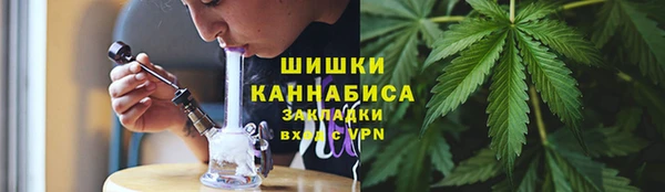 прущие крисы Ельня