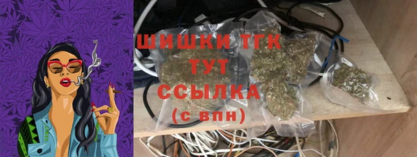 прущие крисы Ельня