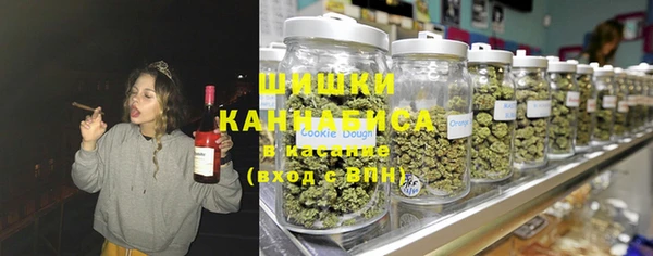 прущие крисы Ельня