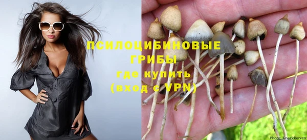 синтетический гашиш Елизово