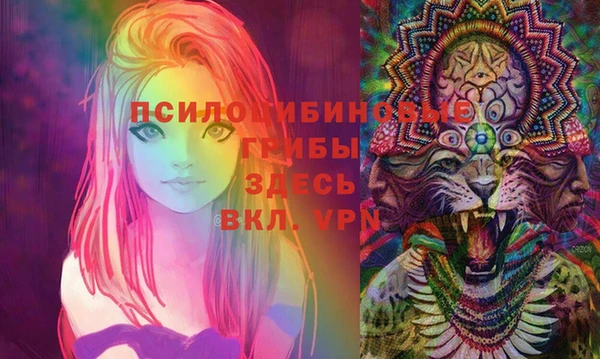 spice Елабуга