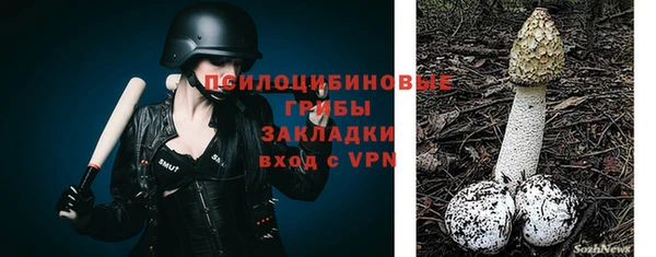 spice Елабуга