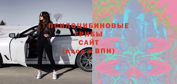 spice Елабуга